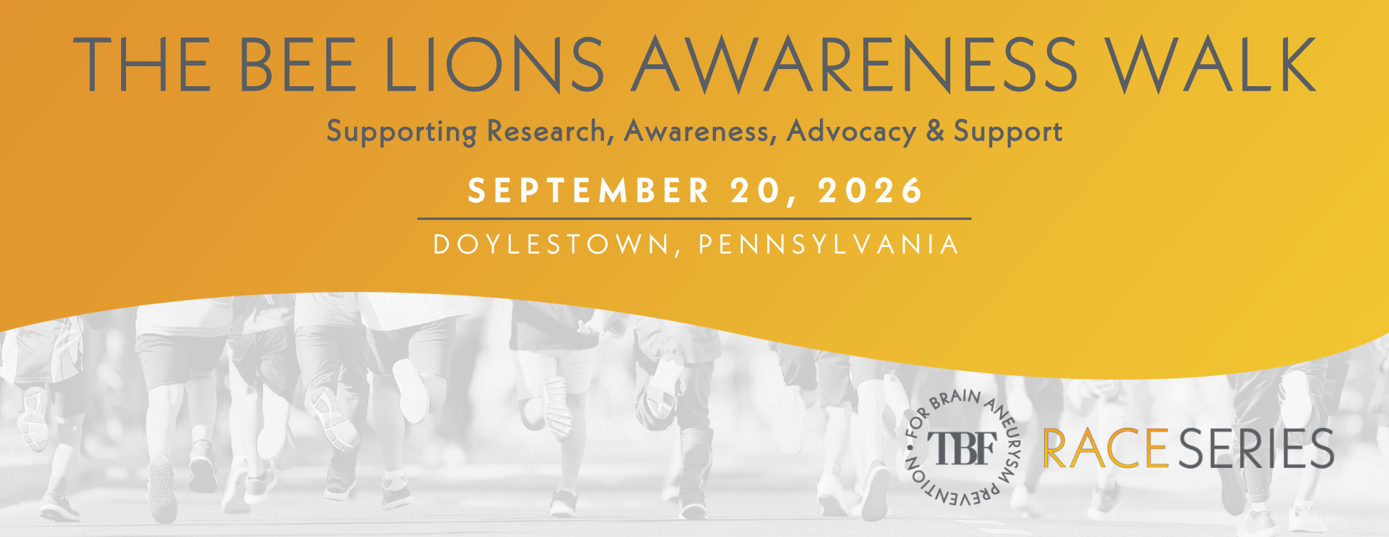 The Bee Lions AVM & Aneurysm Awareness Walk